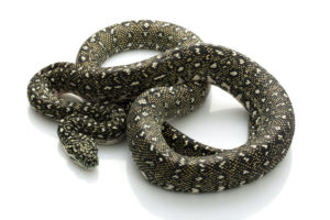 Diamond Python Breeder
