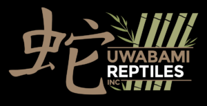 Uwabami Reptiles