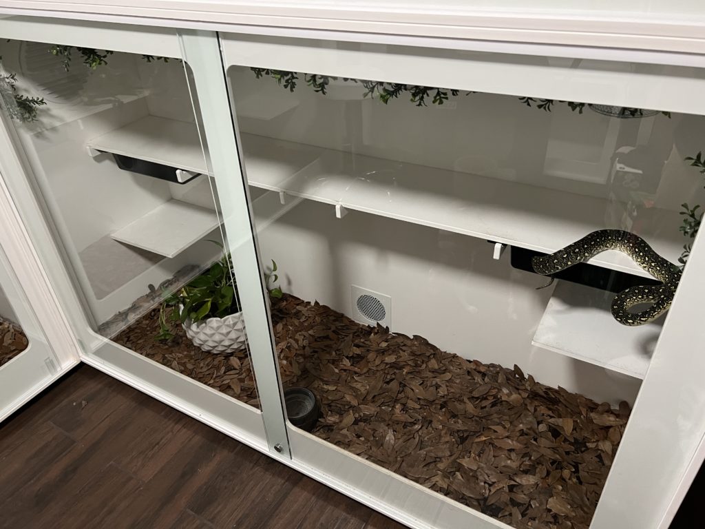 Diamond Python - Large Enclosure