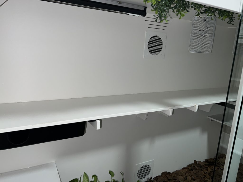 Diamond Python - Shelf