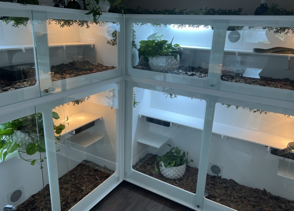 Diamond Python Enclosure