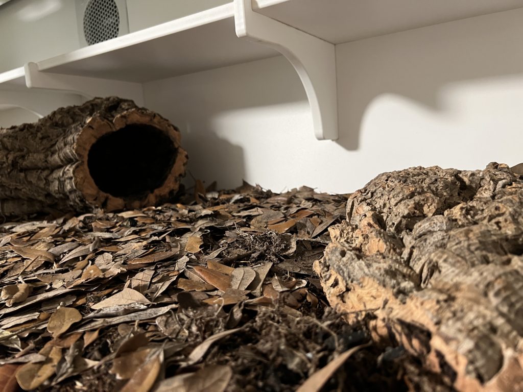 Diamond Python Enclosure