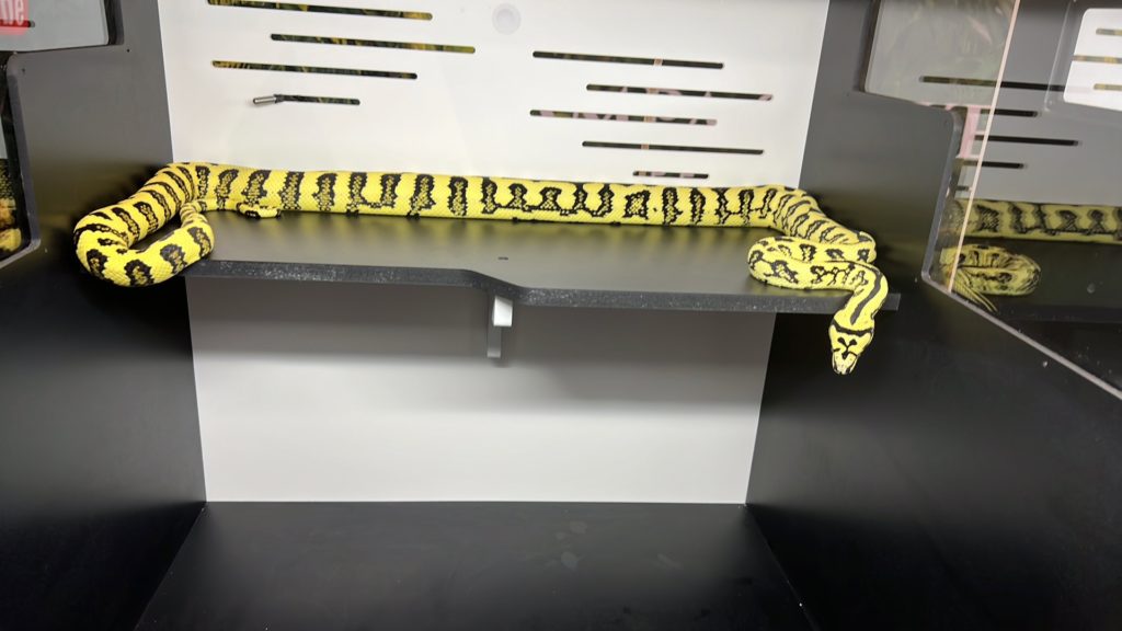 Nakita Diamond Jungle Jags for Sale